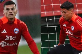 cepeda y cortés colo colo