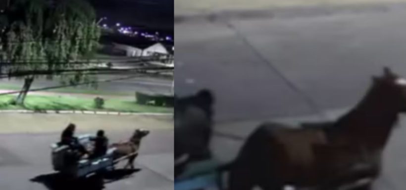 Los Carreta Chorros de Talcahuano