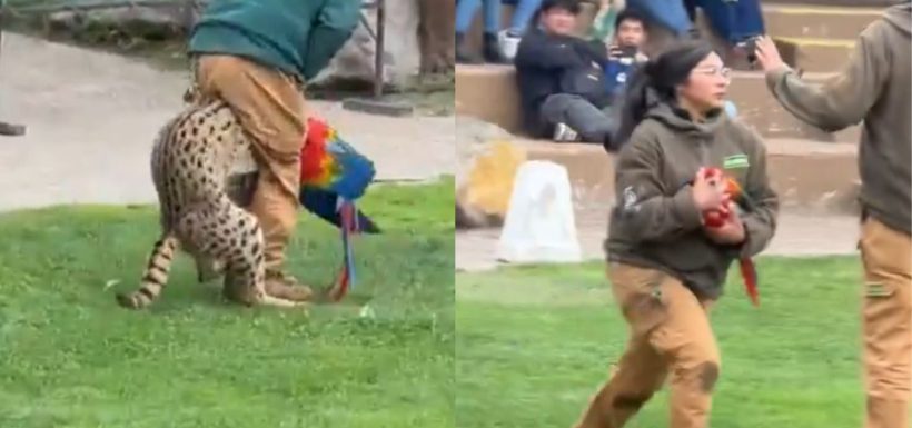 Buin Zoo