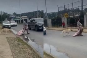 Graban repugnante comportamiento de sujeto en situación de calle en el Biobío