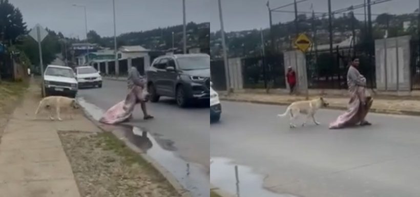 Graban repugnante comportamiento de sujeto en situación de calle en el Biobío