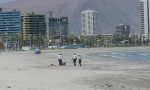 Iquique