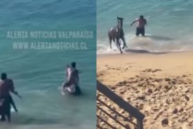 Graban a hombres obligando a caballos a entrar al mar en Valparaíso