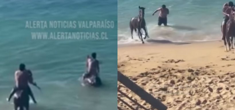 Graban a hombres obligando a caballos a entrar al mar en Valparaíso