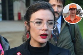 ¡Apuntaron contra dos parlamentarios! Gobierno golpea la mesa frente a críticas por manejo de incendios