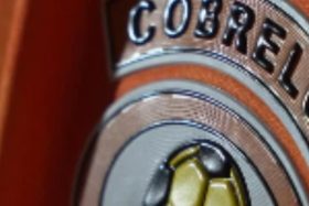 Fallece exjugador de Cobreloa.