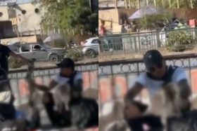 VIDEO | ¡A pasos del Metro en Santiago! Indignación en redes por supuesta venta callejera de piel de gato