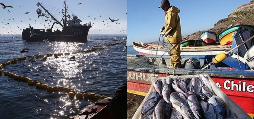 Pescadores en pie de guerra: Retiro de la Ley de Pesca desata furia en el gremio artesanal