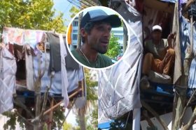 Vecinos ya no aguantaron más: Hombre que vivía en una “casa del árbol” en Talca terminó desalojado por problemas sanitarios