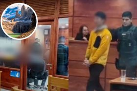 ¡Ignoraron las advertencias! Turistas japoneses se suman a la lista de detenidos por encender fogata en Torres del Paine