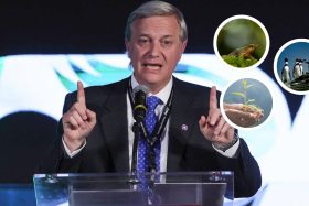 Desde Tanax hasta Greenpeace: Críticas se multiplican tras retiro de decretos ambientales del Gobierno