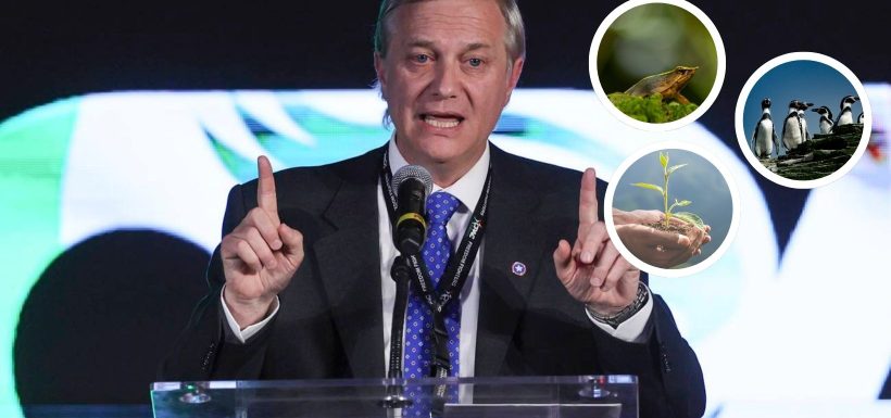 Desde Tanax hasta Greenpeace: Críticas se multiplican tras retiro de decretos ambientales del Gobierno