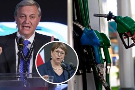 ¡Tras rechazo a candidatura de Bachelet! Oposición acusa intento de "cortina de humo" por histórica alza en las bencinas