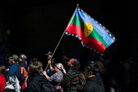 BANDERA PUEBLO MAPUCHE