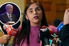 ¿Les pedirá explicaciones? Regreso de Fabiola Campillai a la comisión de DDHH viene con una tajante señal al Ejecutivo