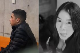 "Lamento el dolor que he causado": Sale a la luz carta de excarabinero que chocó ebrio y provocó la muerte de joven colombiana