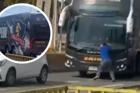 Chofer Bus Colo Colo