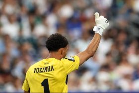 Vozinha Vuelo Colo Colo