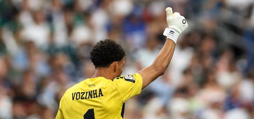 Vozinha Vuelo Colo Colo