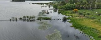 Laguna Aculeo Municipalidad Ordenanza