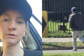 Denuncia de mujer estadounidense destapó a abusador que agredía extranjeras en Temuco: Se hacía el amable y luego atacaba