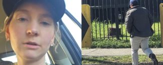 Denuncia de mujer estadounidense destapó a abusador que agredía extranjeras en Temuco: Se hacía el amable y luego atacaba