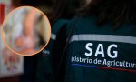 El desubicado regalo sexual de “amigo secreto” que terminó con un trabajador del SAG despedido: Justicia respaldó su despido