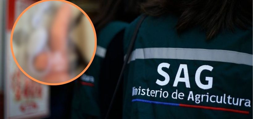 El desubicado regalo sexual de “amigo secreto” que terminó con un trabajador del SAG despedido: Justicia respaldó su despido