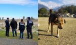 “Estaba en estado de putrefacción”: Perro apareció con algo inquietante en el hocico y desató intenso operativo en La Florida