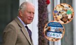 ¿De nuevo minerales críticos y tierras raras en la mira? La reunión de rey Carlos III con embajador chileno que abre interrogantes