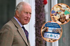 ¿De nuevo minerales críticos y tierras raras en la mira? La reunión de rey Carlos III con embajador chileno que abre interrogantes